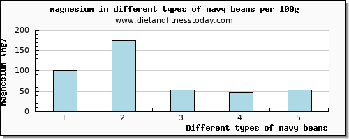 navy beans magnesium per 100g